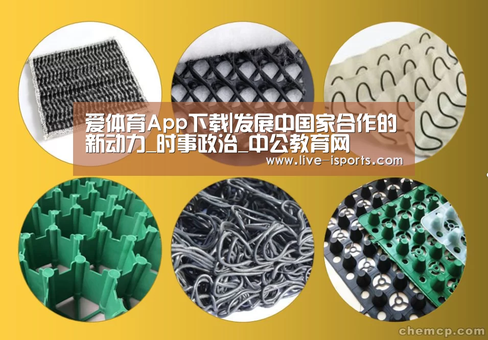 爱体育App下载|发展中国家合作的新动力_时事政治_中公教育网(图4) 爱体育